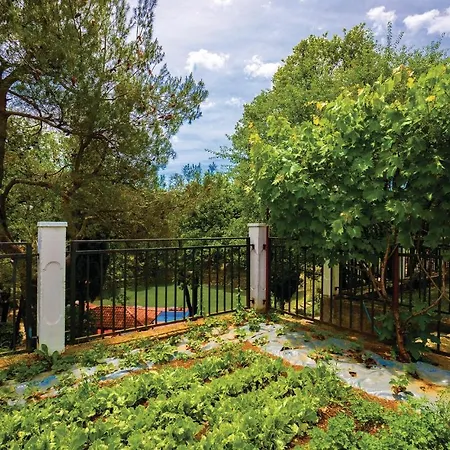 Pet Friendly In Dom wakacyjny *