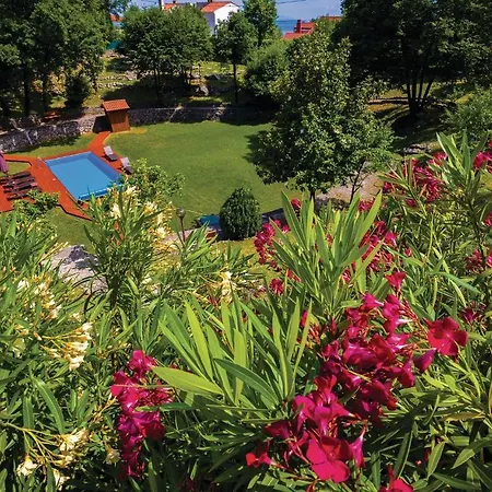 Pet Friendly In Matulji